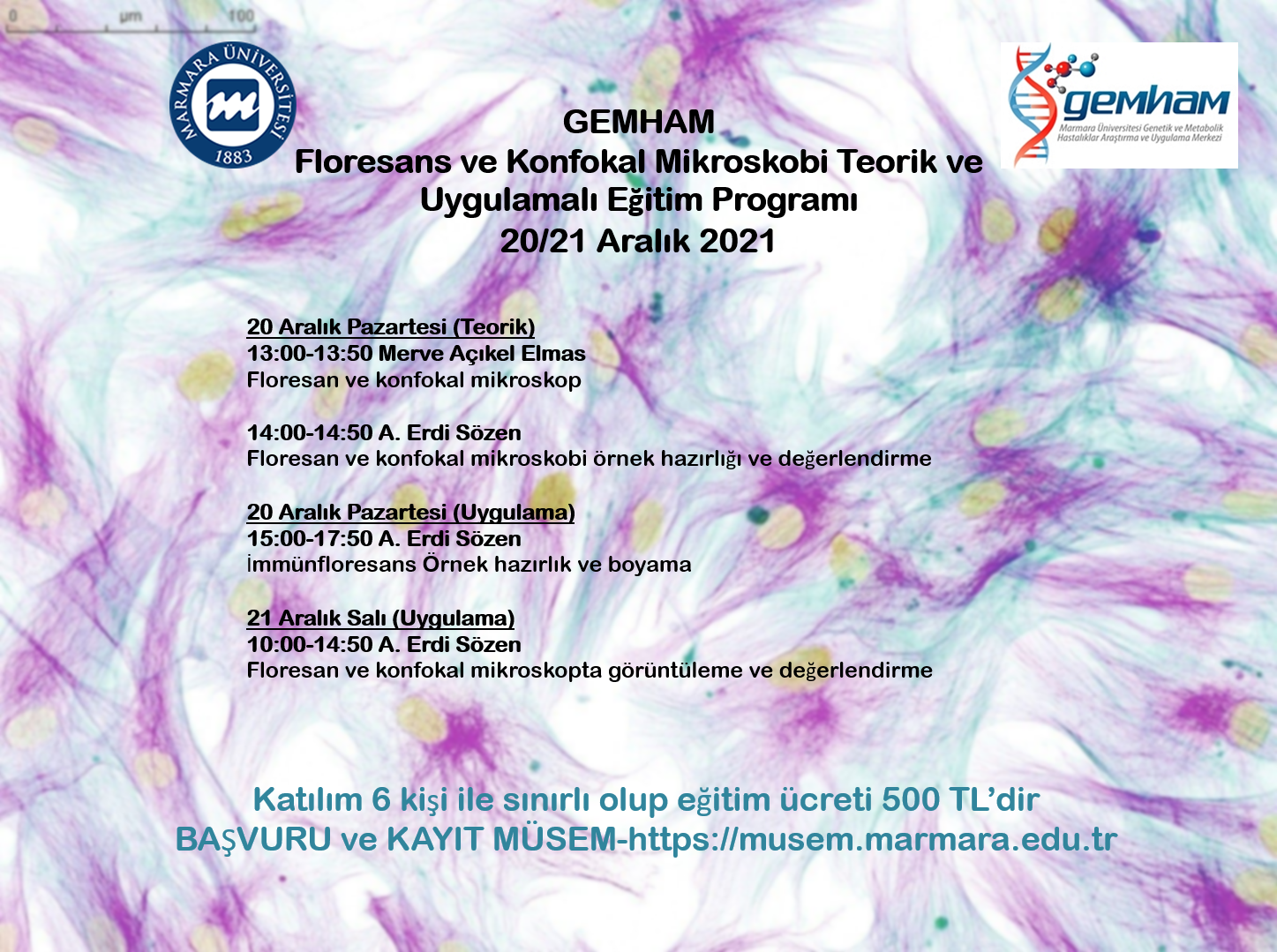 Floresan - Konfokal.png (3.63 MB)