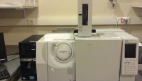 Gaz Kromatografisi Kütle Spektrometresi (GC/MS)